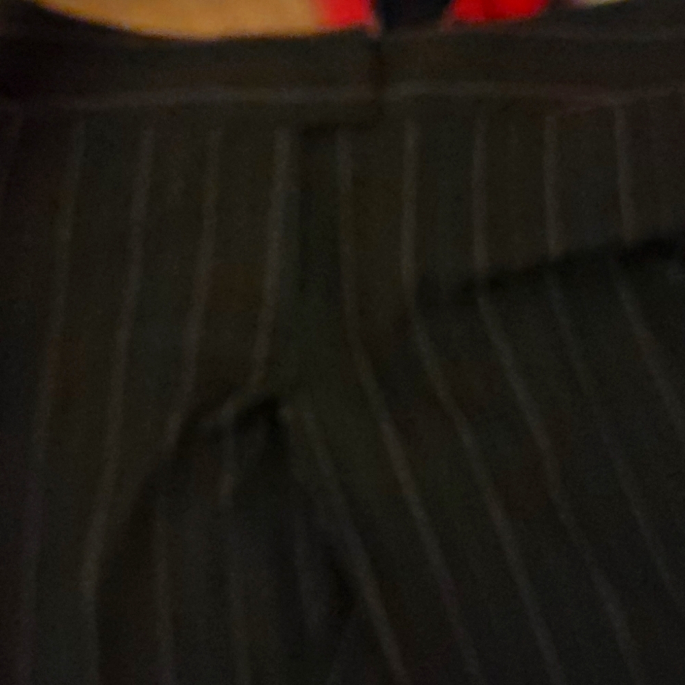 Dress pants